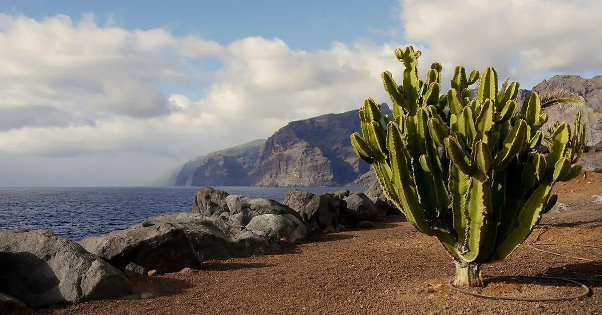 **** Hotel Melia Costa Atlantis Tenerife Puerto de la Cruz  Spain